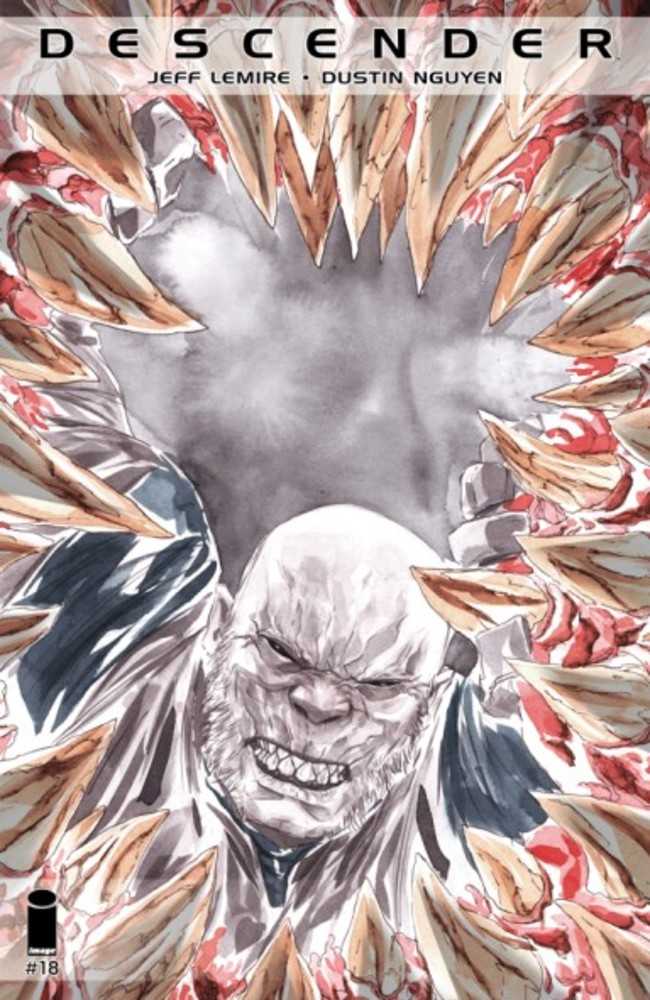 Descender #18