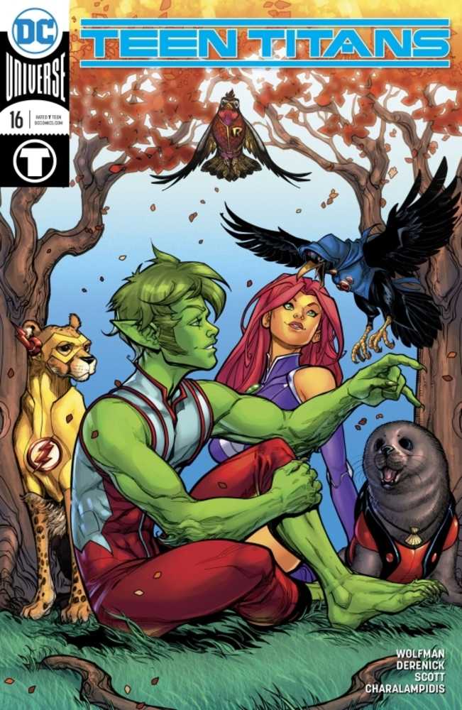 Teen Titans #16 Variant Edition