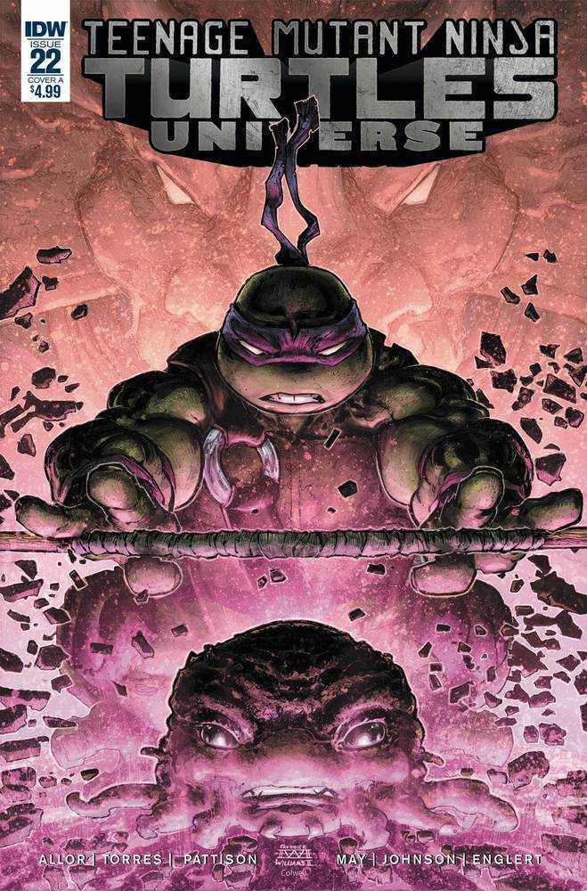 Teenage Mutant Ninja Turtles Universe #22 Cover A Williams II