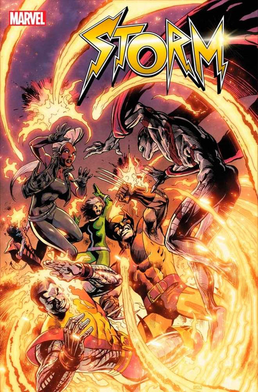 Storm #3 (Of 5)