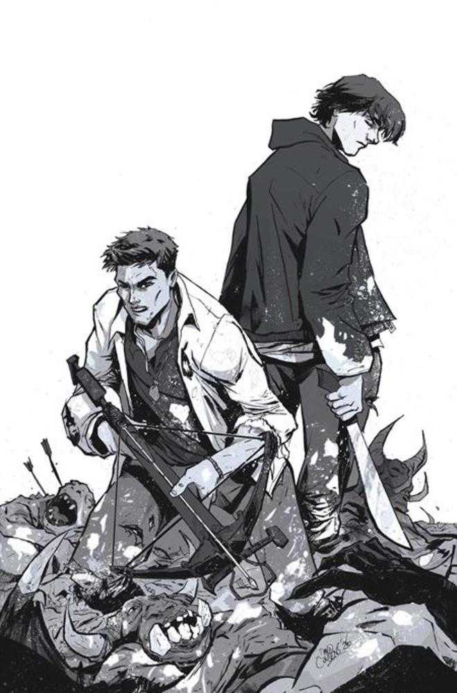 Supernatural #9 Cover L Inc 1:5 David Cousens Line Art Full Art Variant