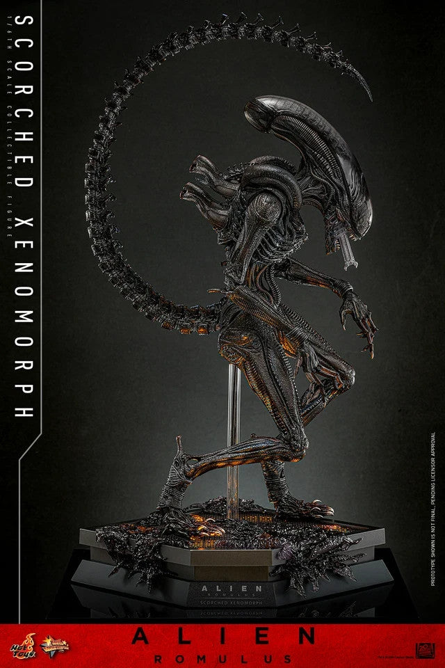 Hot Toys MMS784 Alien Romulus 1/6 Scale Scorched Xenomorph Action Figure Toy