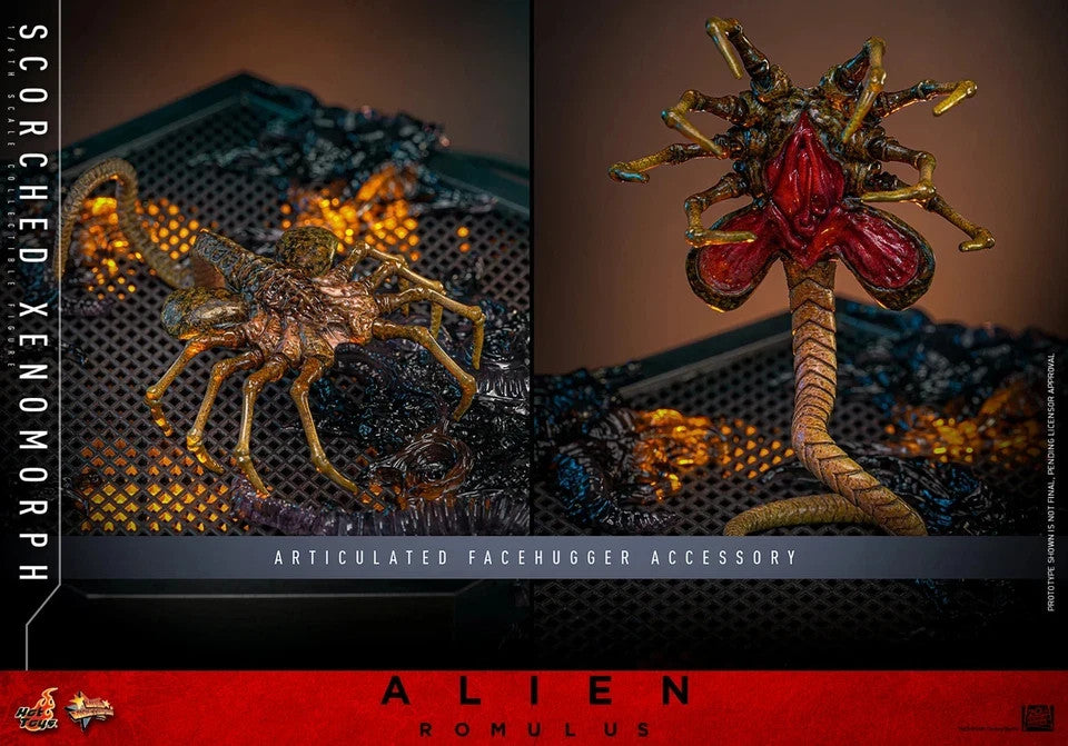 Hot Toys MMS784 Alien Romulus 1/6 Scale Scorched Xenomorph Action Figure Toy