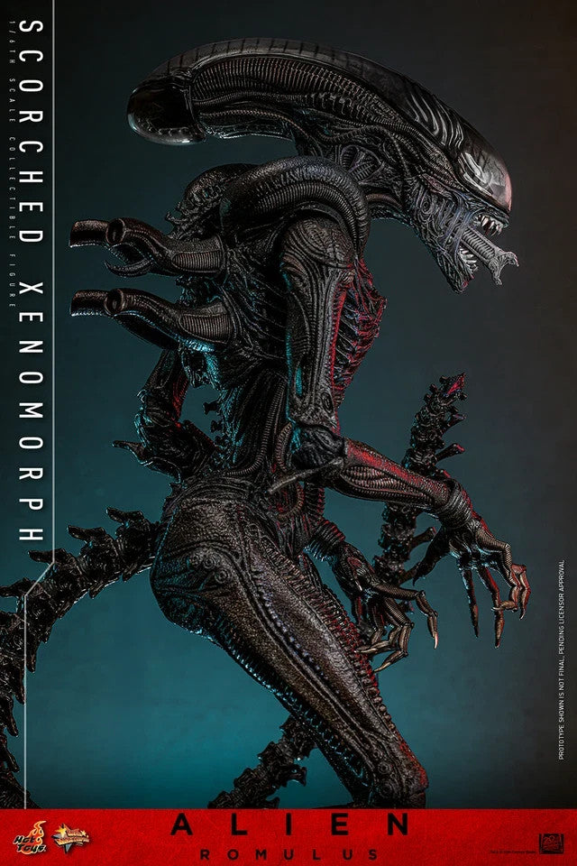 Hot Toys MMS784 Alien Romulus 1/6 Scale Scorched Xenomorph Action Figure Toy