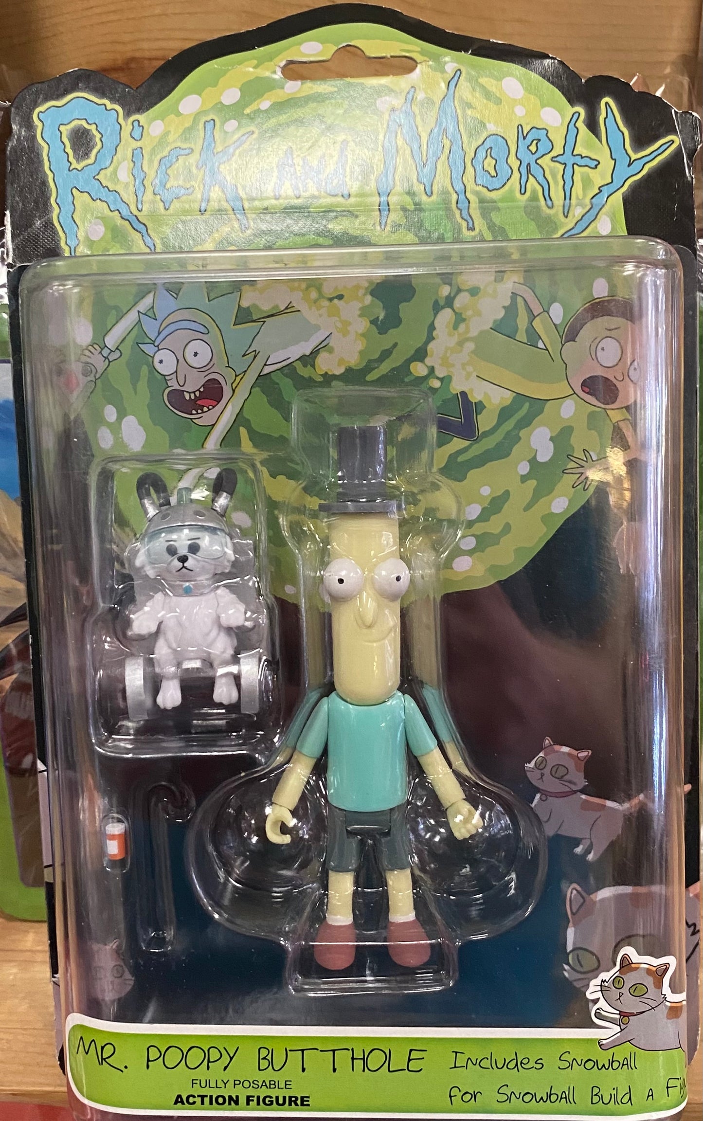 Rick and Morty: Mr. Poopy Butthole